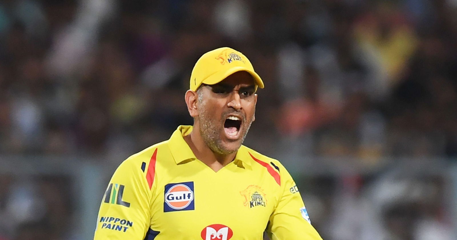 MS Dhoni