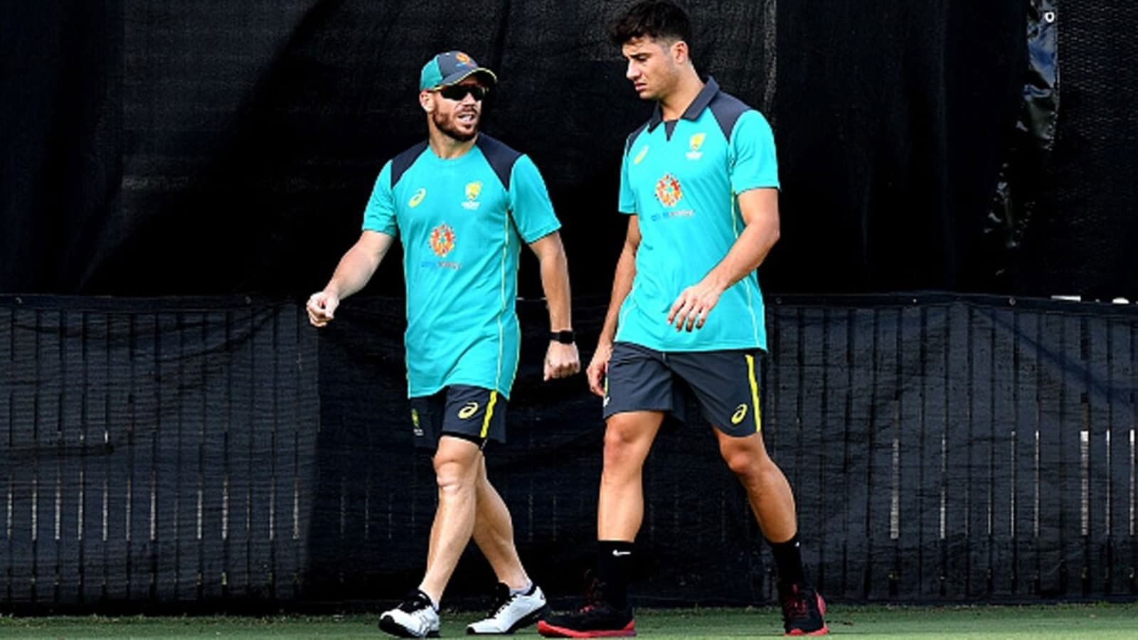 David Warner, Marcus Stoinis