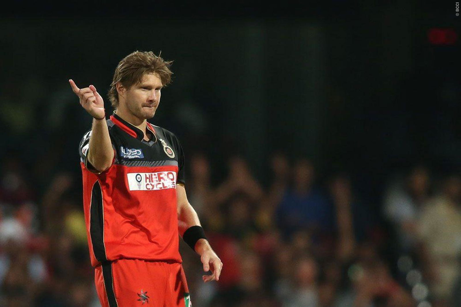 Shane Watson, IPL