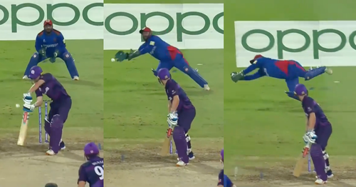 T20 World Cup 2021: Watch - Mohammad Shahzad Grabs A Crisp Catch To Dismiss Matthew Cross