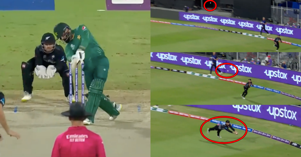 T20 World Cup 2021: Watch - Devon Conway Grabs A Stunner, Takes A Diving Catch At Long-Off To Dismiss Mohammad Hafeez