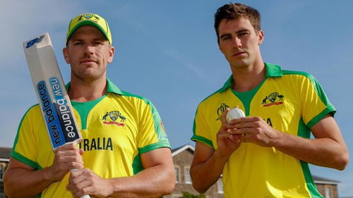 Aaron Finch-Pat Cummins