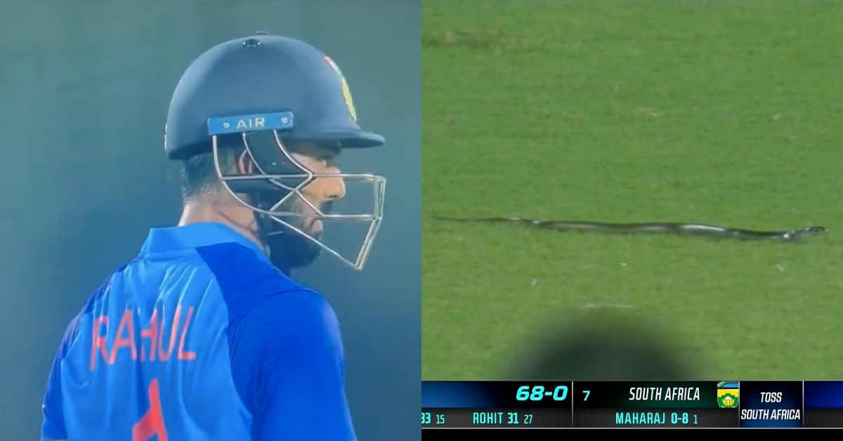 Watch: Snake Enters The Ground To Stop The Play During IND vs SA 2nd T20I In Guwahati