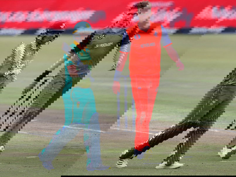 South Africa vs Netherlands, SA vs NED