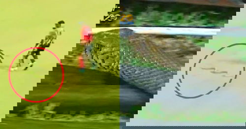 LPL 2023: WATCH: Isuru Udana Escapes A Deadly Encounter With Snake While Fielding During LPL