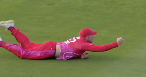 Roelof van der Merwe Catch