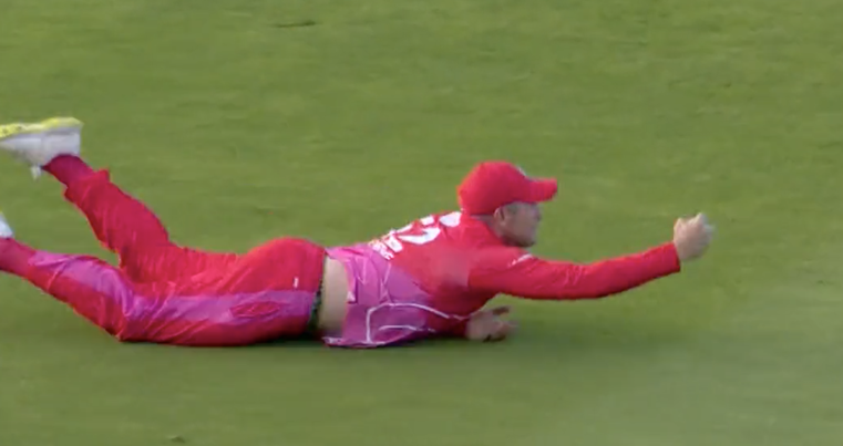 Roelof van der Merwe Catch