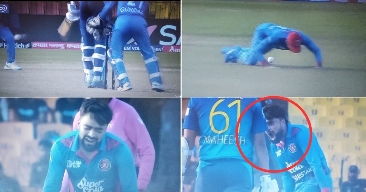 Rashid Khan yells