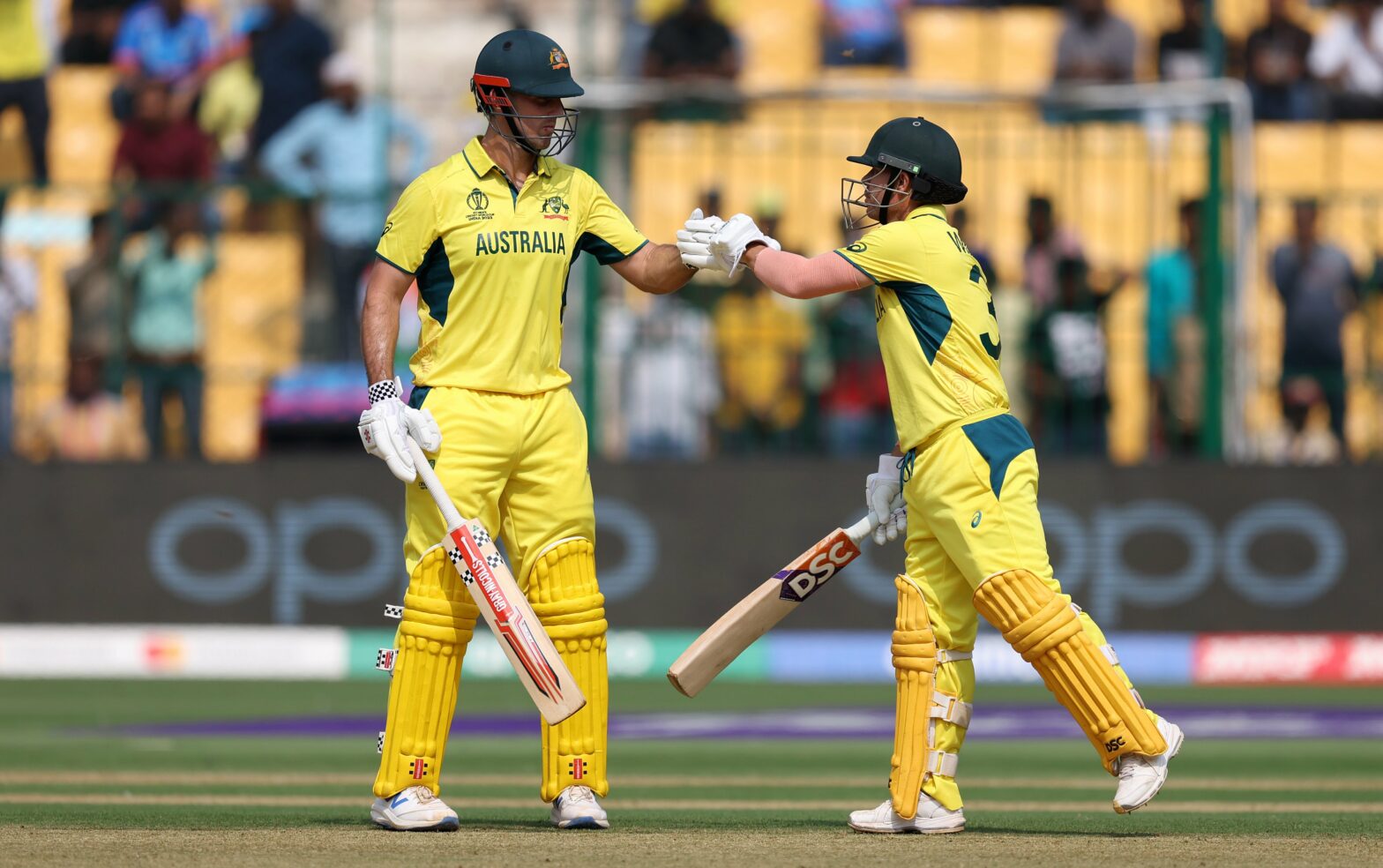 David Warner and Mitchell Marsh