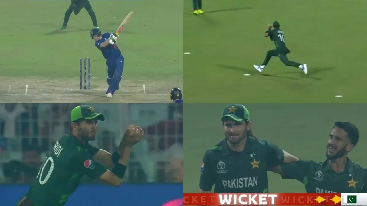 Shaheen Afridi Catch - Harry Brook wicket