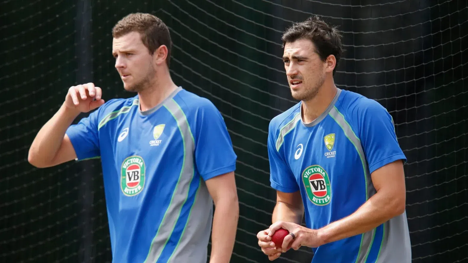 Josh Hazlewood and Mitchell Starc
