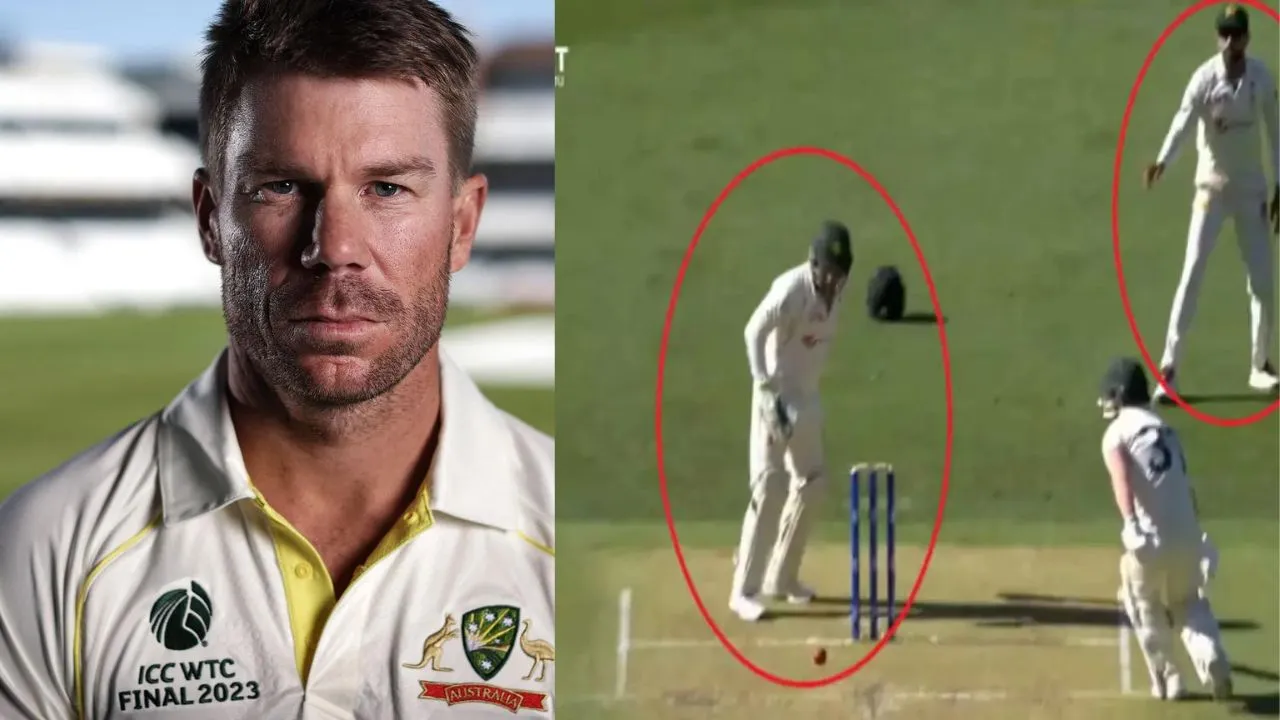 David Warner Gets Another Lifeline