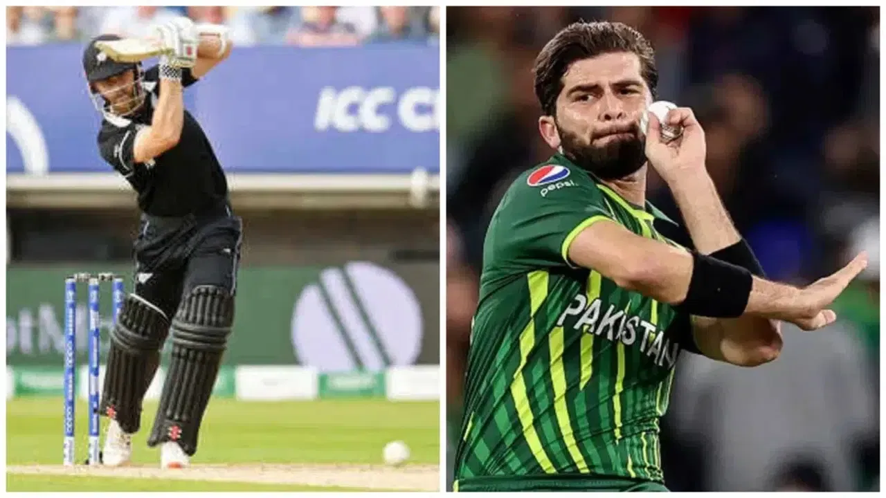 Pakistan vs New Zealand