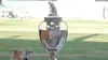 BCA, Comedy Of Errors As Two Bihar Teams Turn Up For Ranji Trophy Match Against Mumbai, Start Deyaled