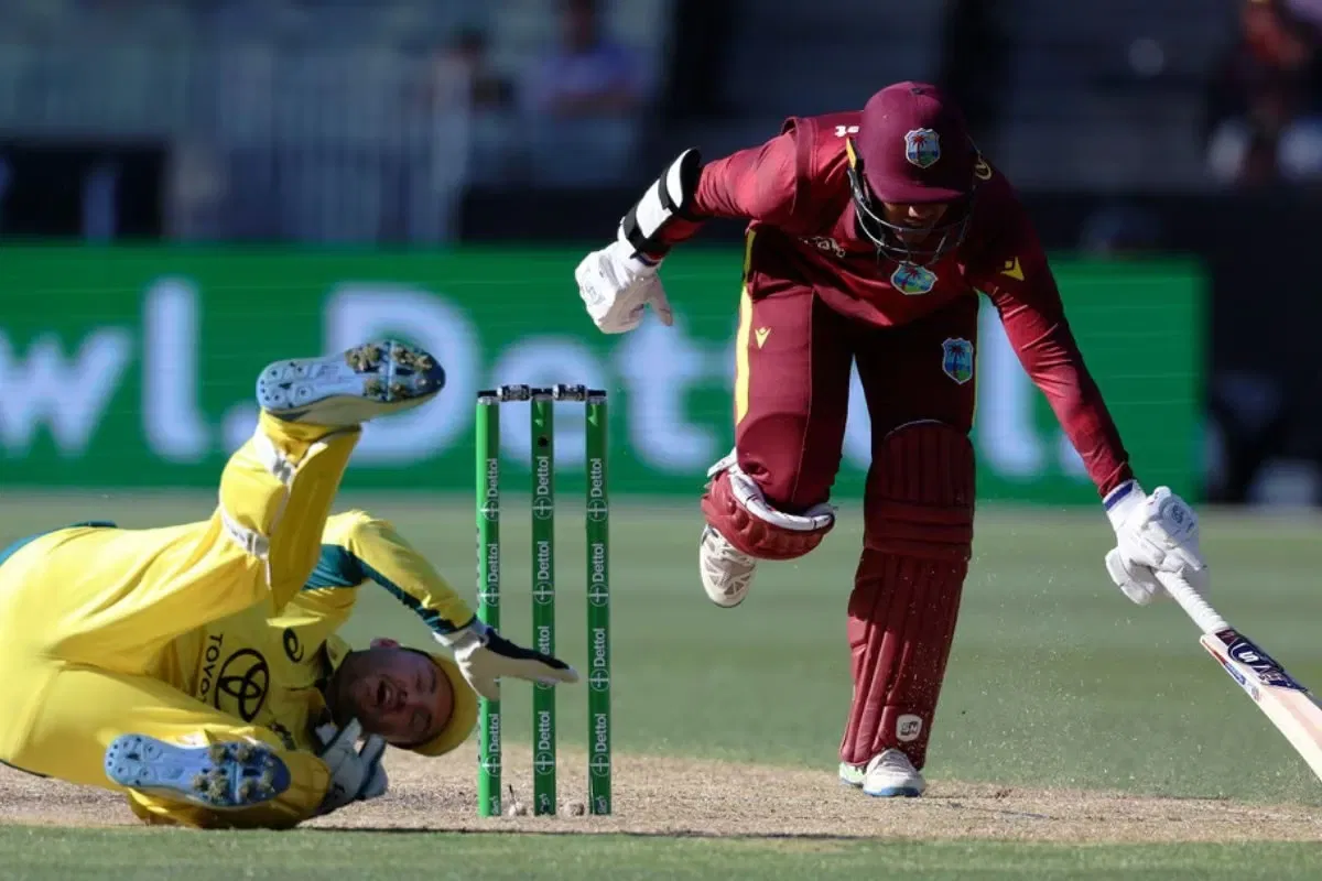 Australia vs West Indies, AUS vs WI, AUS vs WI 2024