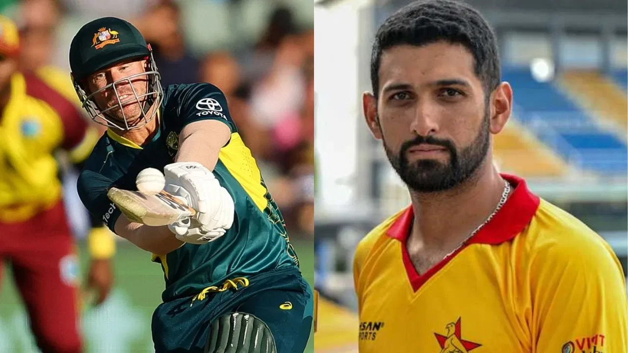 Sikandar Raza, David Warner