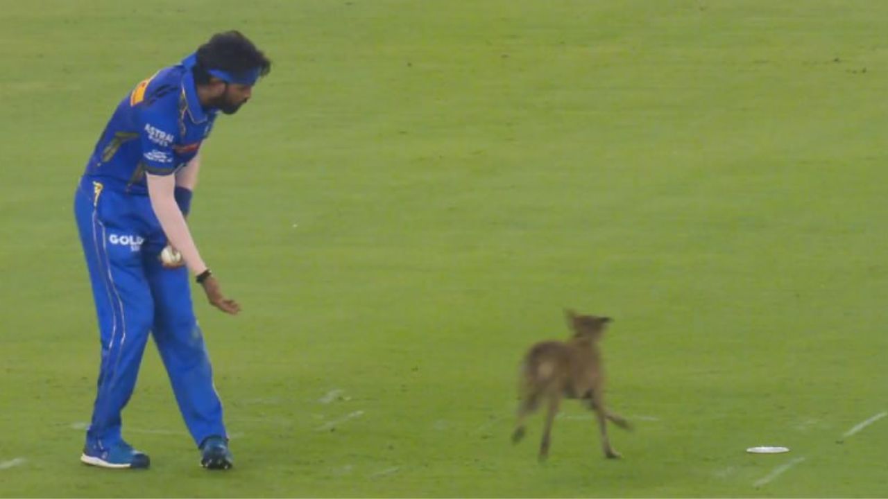 Dog halts play, Hardik Pandya